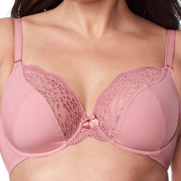 Olga Other - Olga Lace Underwire Bra NWT 42DD Olga Other - Olga Lace Underwire Bra NWT 42DD